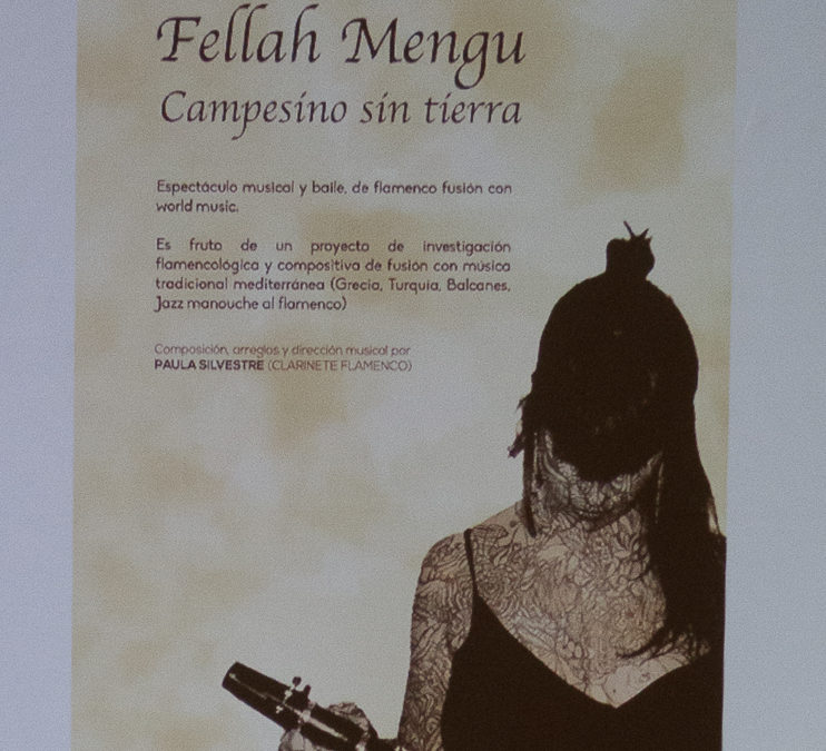 Paula Silvestre: Fellah Mengu. Campesino sin tierra.