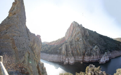 Viaje a los Parques nacionales: Matilla y Monfragüe (día 2)